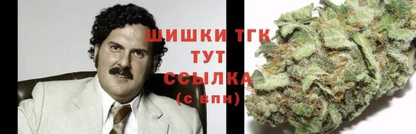 молекула духа Зерноград