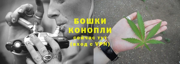 спайс Инсар