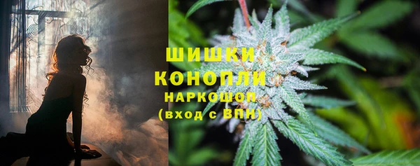 молекула духа Зерноград